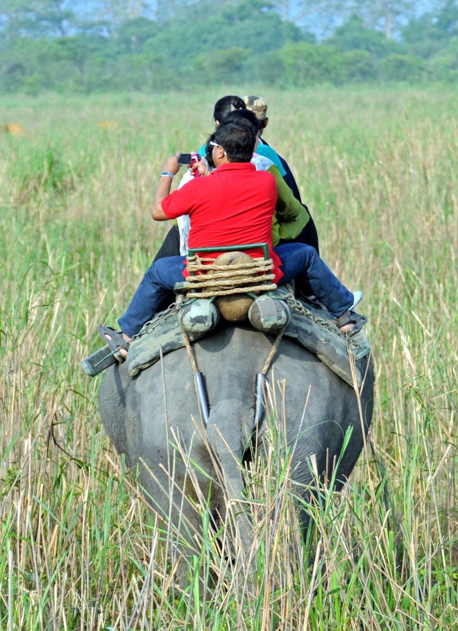 Riding on an elephant