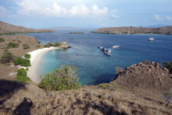 Going ashore on Komodo Is